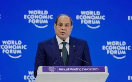 السيسي يشدد على حوافز استثمارية جاذبة في مصر لقطاعات الطاقة المتجددة والذكاء الاصطناعي