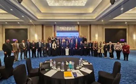 نائب وزير الصحة يترأس اجتماعاً هاماً لإطلاق نظام المعلومات الصحية DHIS2