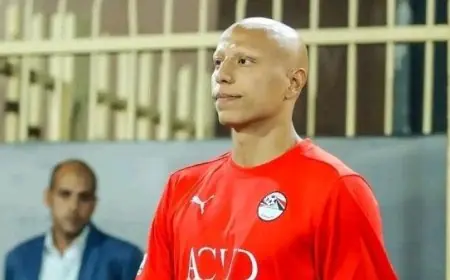 وكيل عمرو الجزار يوضح موقف اللاعب من المشاركة ضد أهلي ويانج أفريكانز في دوري أبطال إفريقيا