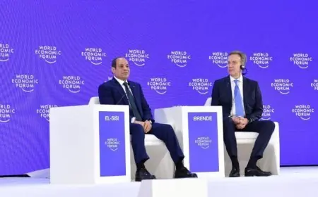 الرئيس السيسي يحث المستثمرين على استغلال الفرص المميزة في السوق المصري