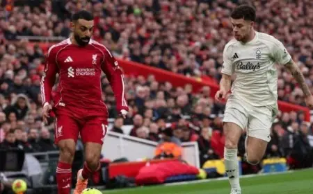 حضور ممتع لمباراة ليفربول ضد مارسيليا في دوري أبطال أوروبا اليوم