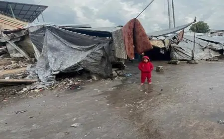 الأمم المتحدة تحذر من زيادة وفيات الرضع في غزة إلى 9 بسبب البرد القارس