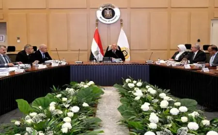 وزير الصناعة يقود اجتماع مجلس إدارة مركز تحديث الصناعة لتعزيز التطوير الصناعي