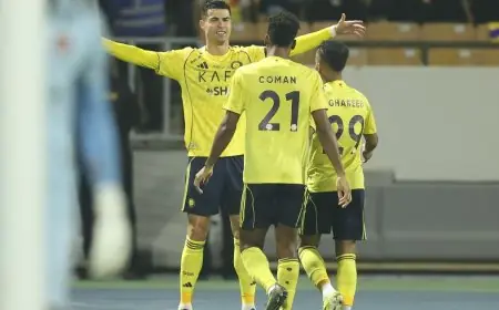 استمتع بأهداف مباراة ضمك والنصر (1-2) في منافسات دوري روشن السعودي