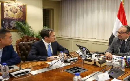 وزير قطاع الأعمال يناقش مع وفد صيني فرص التعاون في صناعة السيارات الكهربائية مع شاندونج