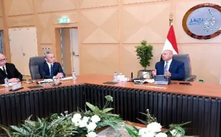 وزير الصناعة يناقش مع تويوتا إيجيبت وتويوتا تسوشو فرص زيادة الاستثمارات في قطاع تصنيع السيارات