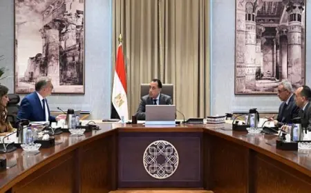 رئيس الوزراء يؤكد أهمية قصوى لقطاع البترول لزيادة الإنتاج وتقليل تكاليف الاستيراد