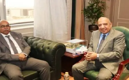 وزير الكهرباء يناقش مع نظيره السوداني أحدث مستجدات مشروع الربط الكهربائي بين مصر والسودان