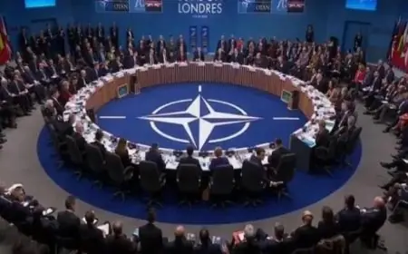 اللجنة العسكرية للناتو تؤكد وحدة الحلف وجاهزيته في ختام اجتماعها السنوي