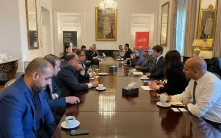 وزارة الصحة تبحث مع السفارة البريطانية آفاق جديدة للاستثمار في القطاع الصحي