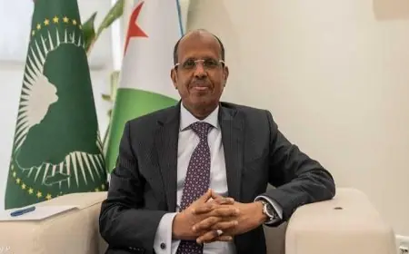 رئيس مفوضية الاتحاد الإفريقي يناقش تعزيز الشراكة مع المسؤول الهندي