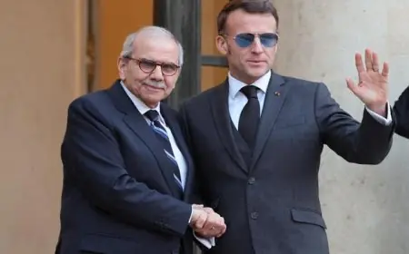 الرئيس الفرنسي يعلن دعمه القوي للإصلاحات في لبنان