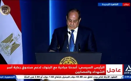 الرئيس السيسي يؤكد حديثه يهدف إلى حماية الدولة وليس حماية النظام أو نفسه