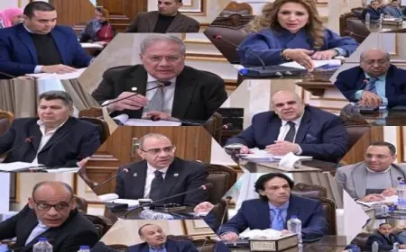 صندوق الرعاية الطبية والاجتماعية بجامعة القاهرة يعقد اجتماعاً لتطوير الخدمات الصحية والاجتماعية