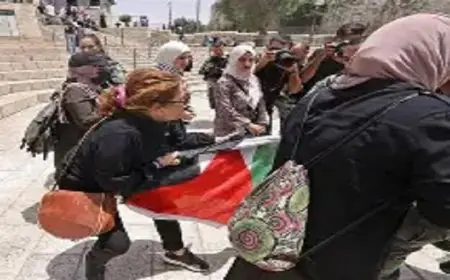 الاعتداء الإسرائيلي على المتضامنين الأجانب في القدس يشعل الغضب الدولي