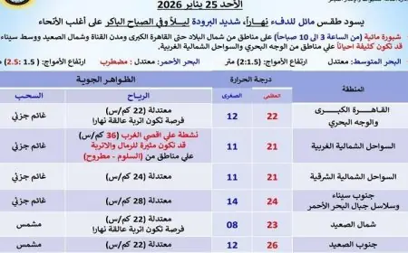 طقس الغد في القاهرة مائل للدفء نهارا وشديد البرودة ليلا مع ارتفاع درجات الحرارة إلى 22 درجة