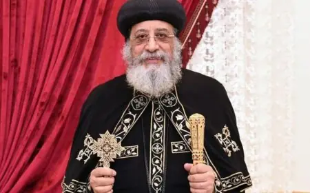 البابا تواضروس يعود إلى القاهرة عقب نجاح جراحة في النمسا