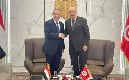 وزير الخارجية يصل تونس لاستقبال رسمي من نظيره التونسي في مطار قرطاج