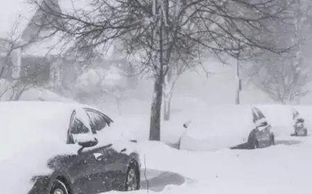 ترامب يفرض حالة الطوارئ في عدة ولايات أمريكية بسبب عاصفة ثلجية قوية