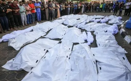 نقل رفات 50 شهيدا من مقبرة غير رسمية في مدينة غزة