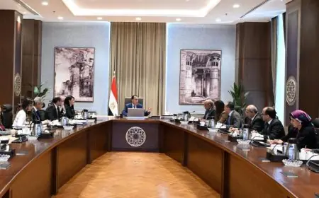 مدبولي يكشف أحدث التطورات في حل أزمة مديونيات الكهرباء لدى المؤسسات الحكومية