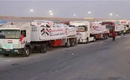 قافلة زاد العزة 124 تصل إلى قطاع غزة لتقديم الدعم للفلسطينيين