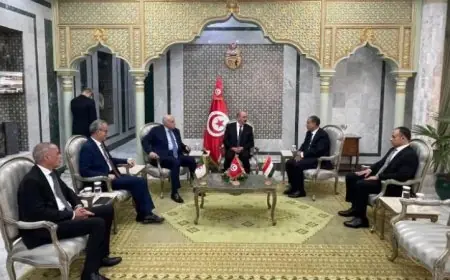 اجتماع ثلاثي بين وزراء خارجية مصر وتونس والجزائر يتوج ببيان مشترك قوي