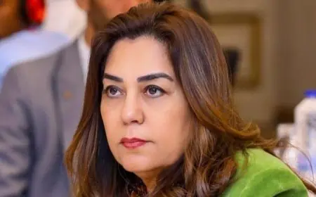 منال عوض تكشف عن بدء التشغيل التجريبي لمجزر مدينة موط في الوادي الجديد بتكلفة 21 مليون جنيه