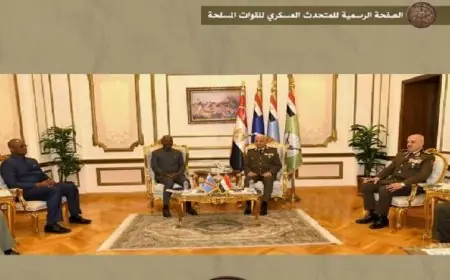 وزير الدفاع يناقش تعزيز التعاون العسكري مع نظيره في جمهورية الكونغو الديمقراطية