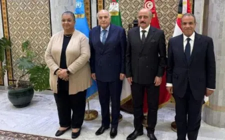 عبد العاطي يستعرض آخر مستجدات الملف الليبي ويبحث سبل تعزيز العملية السياسية