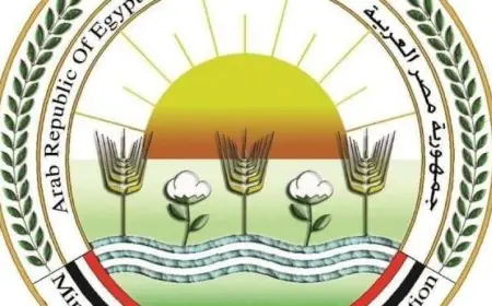 نفي وزارة الزراعة رصد جراد صحراوي في بئر العبد بسيناء