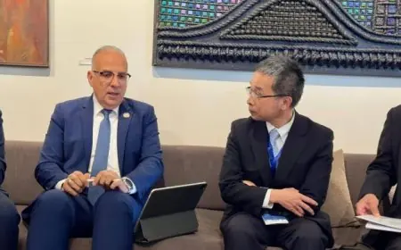 سويلم يجتمع مع وفد ياباني لتعزيز التعاون في الحوار التفاعلي الثالث حول المياه مع مصر