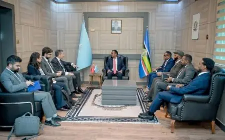 وزير الخارجية الصومالي يلتقي بوفد تركي لتعزيز العلاقات الاستراتيجية بين البلدين