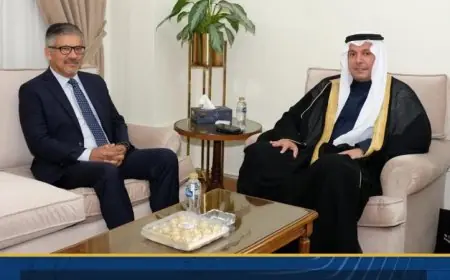 الجامعة العربية تلتقي بباكستان لمناقشة التحديات الراهنة في الساحتين الإقليمية والدولية