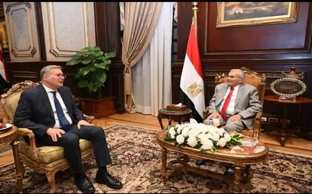 رئيس مجلس الشيوخ يلتقي وزير البترول لتعزيز التعاون بين مؤسسات الدولة