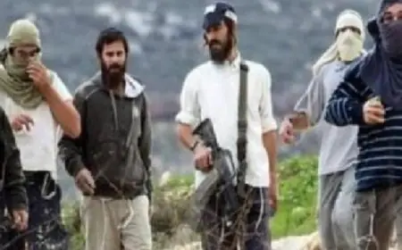 مستوطنون يعتدون بإطلاق النار على منازل الفلسطينيين في جنوب نابلس