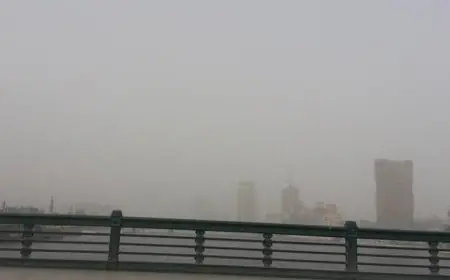 الأرصاد تتوقع طقس دافئ نهاراً وشديد البرودة ليلاً مع انخفاض حرارة القاهرة إلى 11 درجة