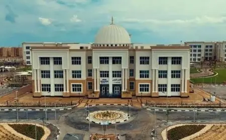 التعليم العالي يعلن بدء الترشح لمنصب رئيس الجامعة المصرية للتعليم الإلكتروني