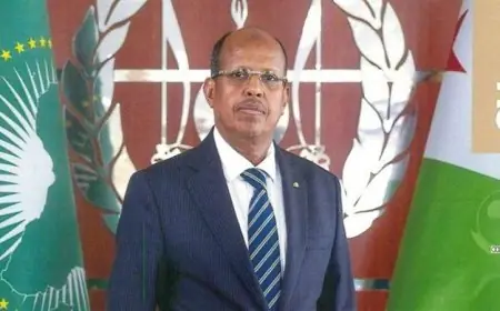 الاتحاد الإفريقي يطالب بخفض التوترات والالتزام باتفاق السلام في جنوب السودان