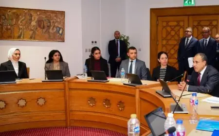 عبد العاطي يؤكد أهمية الكفاءة المهنية العالية للدبلوماسي المصري