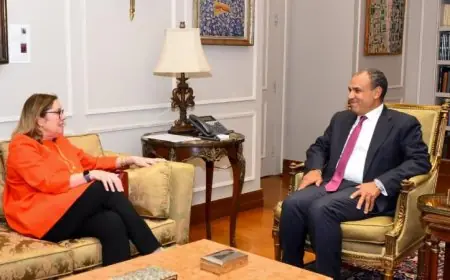 الخارجية تؤكد أن القوة متعددة الجنسيات في سيناء تعزز الأمن والاستقرار بشكل محوري