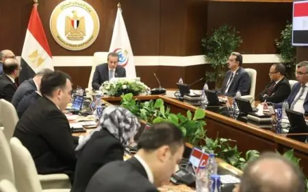 وزير الصحة ينسق مع وفد تركي لتعزيز تنفيذ مشروع مدينة العاصمة الطبية