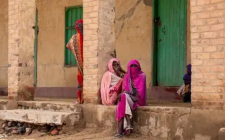 عودة أكثر من 3 ملايين سوداني إلى ديارهم بحسب المنظمة الدولية للهجرة