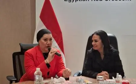 تعاون جديد بين الطفولة والأمومة والهلال الأحمر لحماية الأطفال والأمهات