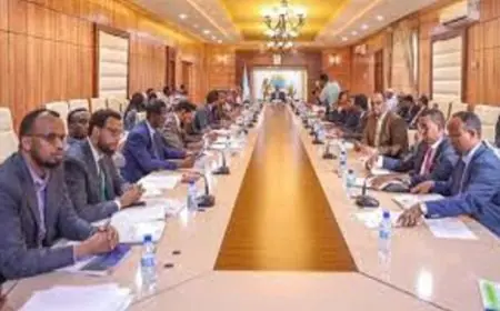 مجلس الوزراء الصومالي يوافق على تعيين قائد جديد للجيش لتعزيز الأمن الوطني