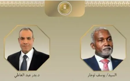 عبد العاطي ونظيره النيجيري يناقشان تعزيز العلاقات وآخر التطورات في القارة الإفريقية