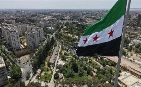 تعزيز التعاون بين سوريا والإمارات في اتصال هاتفي بين الرئيسين