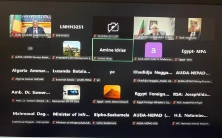 وزير الخارجية يساهم في تعزيز البنية التحتية في إفريقيا من خلال اجتماع المبادرة الرئاسية