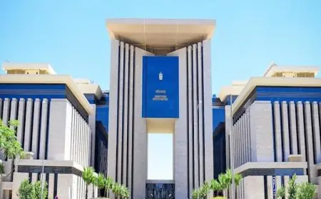 مصر تُعبر عن دعمها لاتفاق وقف إطلاق النار في سوريا