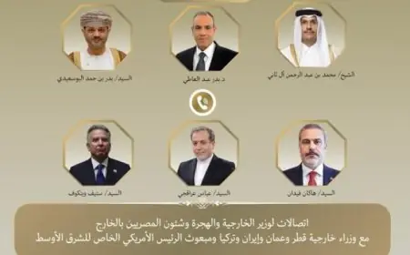 وزير الخارجية يعقد اجتماعات هامة لبحث التطورات الإقليمية وتخفيف حدة التوتر